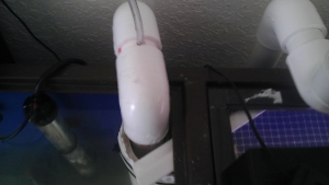 IMAG0458