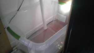 IMAG0459