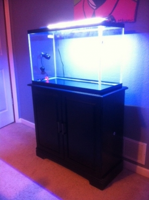 First tank