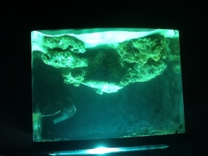 Tank side view (seems to like to upload upside down)