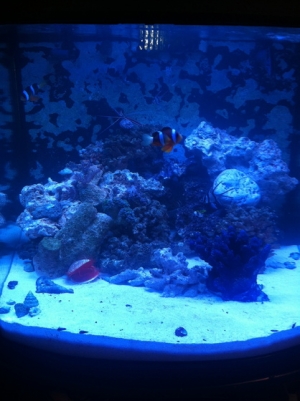 After new LED project