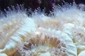 Close up!