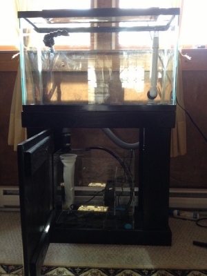 Day 1 of the setup