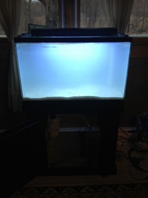 Added sand and the water