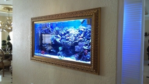 in wall aquarium