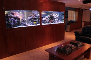500 gallon
