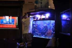 home show 2011