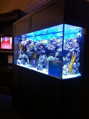 home show 2011
