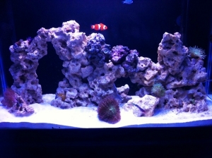 tank 3