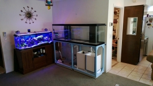 The new tank with mocked up sumps next to the old tank.