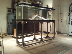 Testing out the new stand