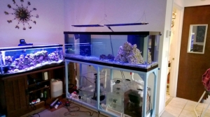 The new tank next to the old tank before the move.