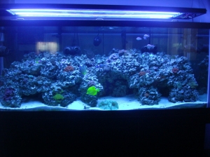 210 gal