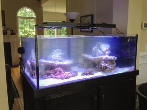 110g Rimless, born Aug 3rd, 2013
