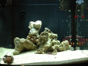 Added a couple more small rocks and a small but effective CuC
