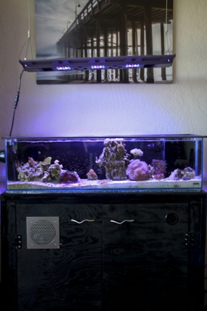 Aquarium 0712