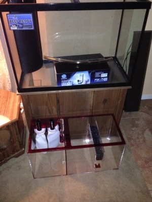 Max beginning fish tank set up small
