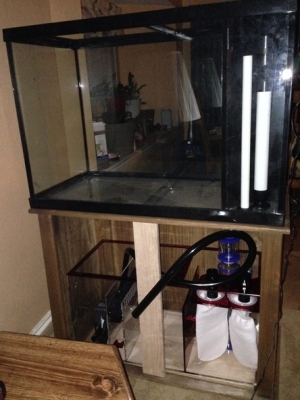 65 g reef ready tank rear view small
