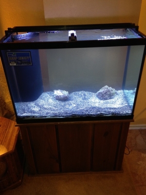 Tank Day Light