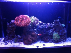 Nov 2013