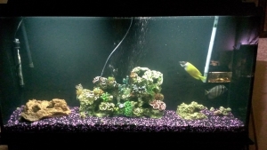 Fixed water parameters painted sides and back black
