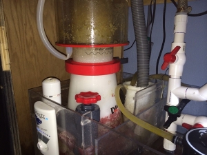 Diablo xs-225 Skimmer. I purchased this in June 2012 and have had great results with it. Though I think I'll get a DC 5500 for it soon since the pump it came with is one speed and pushes too many bubbles. I'd like to have the "feed" option for the skimmer