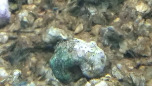 IMAG0080