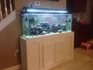 Custom cabinet build around a steel frame