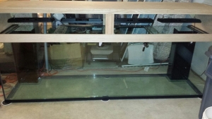 lights over tank