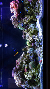 IMG 5091[1]