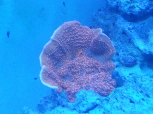 20140321 193543