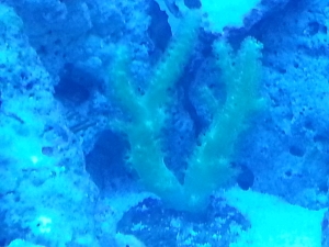 20140321 193531