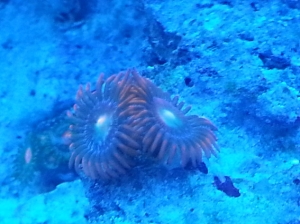 20140321 193630