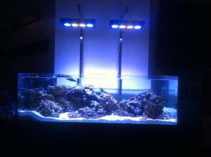 tank wlights