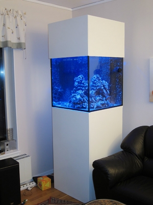 Full tank shot - December 2013