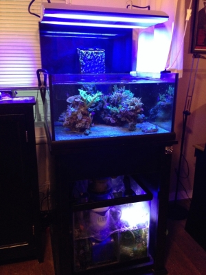 Neo Nano Aquarium