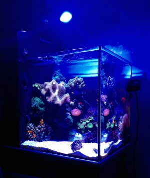 Nano Cube