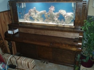 55 reef in a piano
