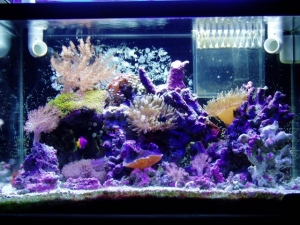 Pisces23's 20H nano...