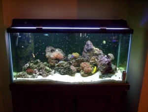 Before new rock