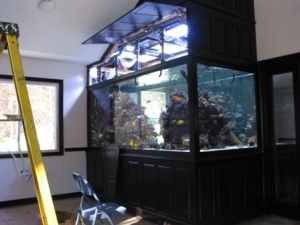 My Friends 1500 Gallon Reef with Starfire Glass