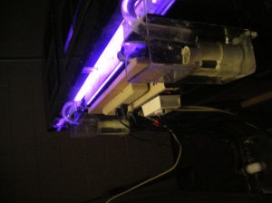 The back of the tank