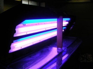 The lighting system