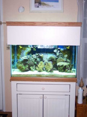 my tank