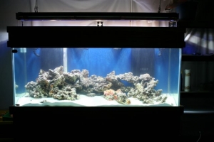 TANK_2ND_FRONT