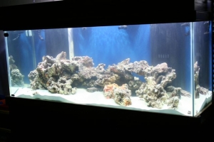TANK_2ND_DAY_A