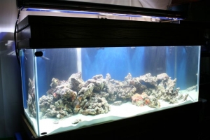 TANK_2ND_DAY_B