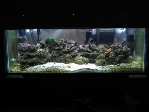 the final rock placement