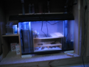 garden variety sump