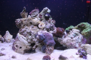 FTS (4/19/07)